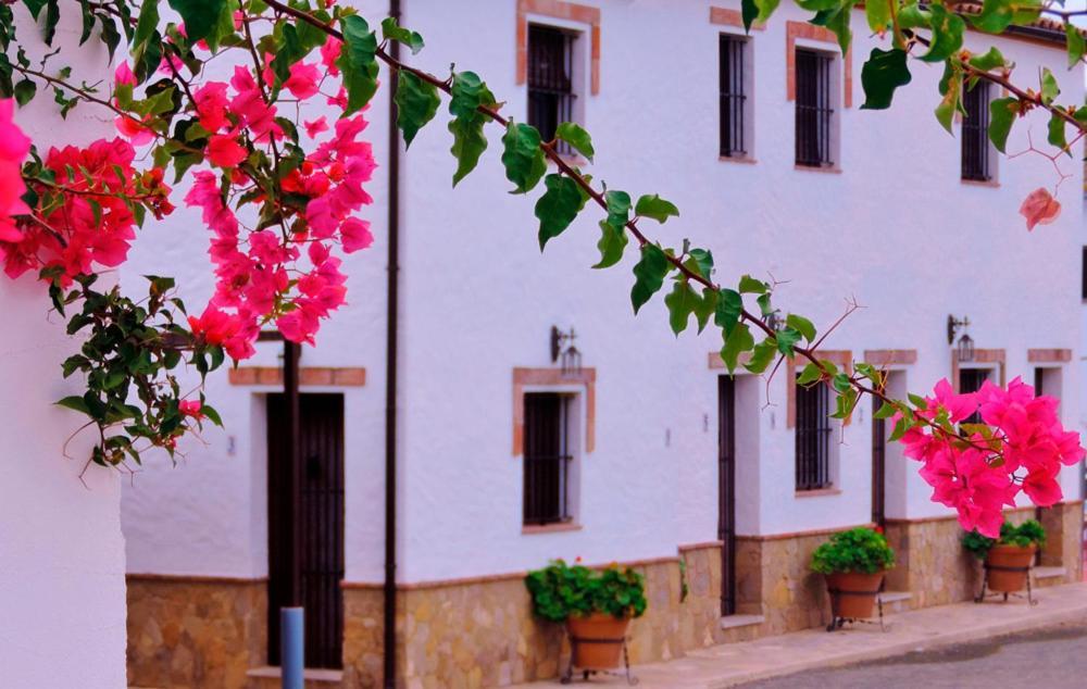 Villa Hacienda San Francisco Prado Del Rey Esterno foto