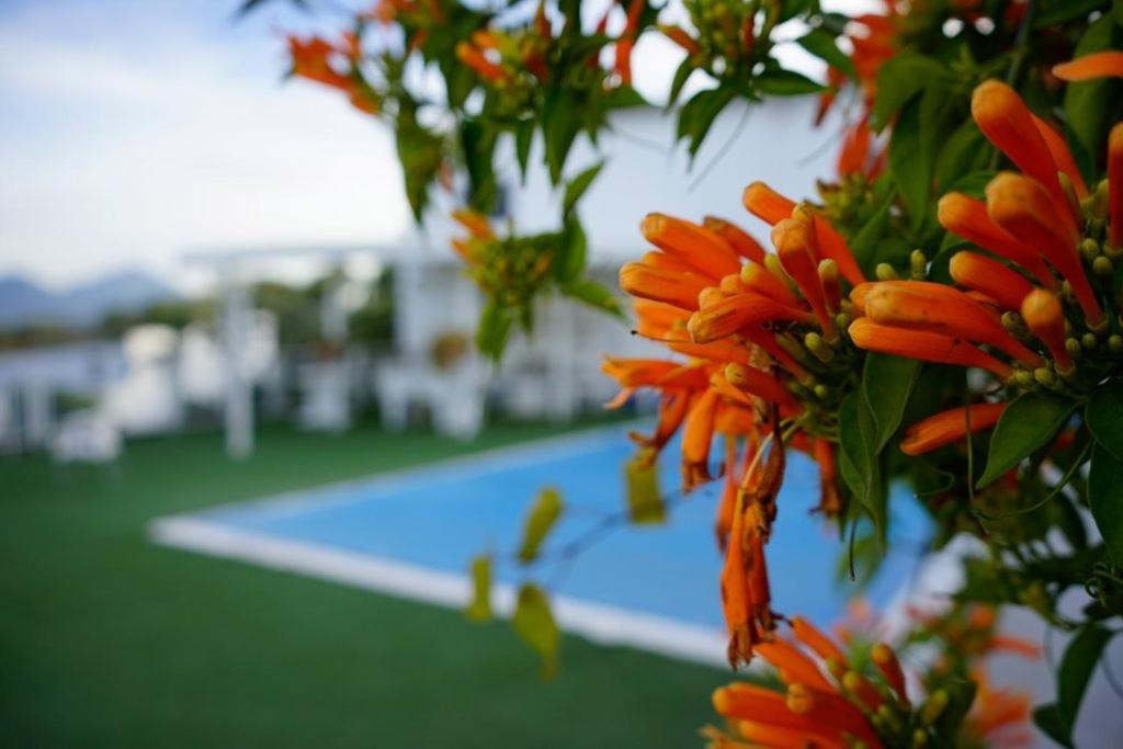 Villa Hacienda San Francisco Prado Del Rey Esterno foto